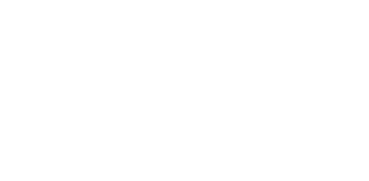 The Spa Brothers logo