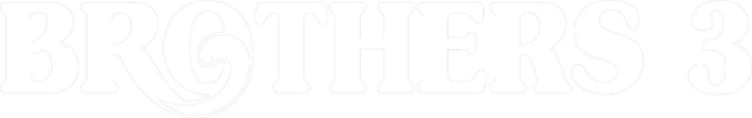 Brothers 3 Pools logo