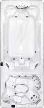 DualStream - SwimExpert